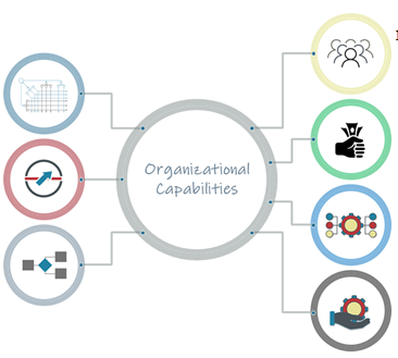 Illustration of the 7 performance disciplines