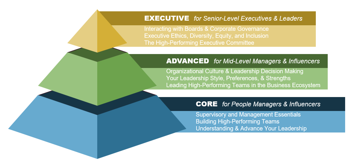 Graphic of the Leadership Development Program Structure